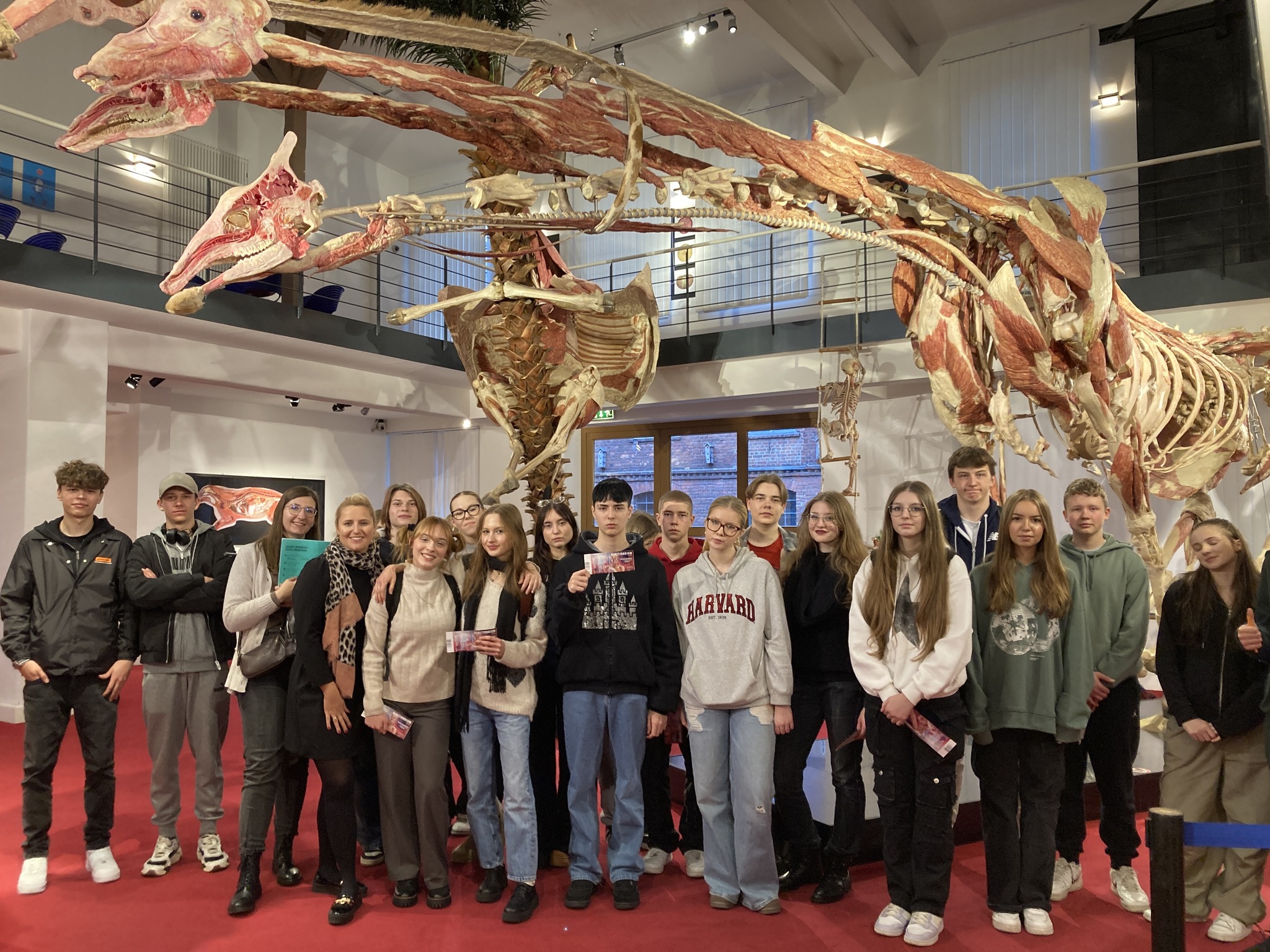 2023 11 13 plastinarium1